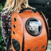 raoul-droog-Ea8rP2Ebp_4-unsplash_optimized Arcadia Trail Adjustable Insulated Dog Coat