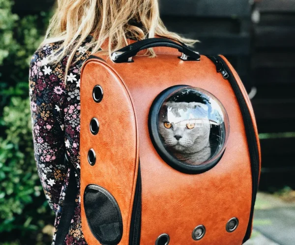 raoul-droog-Ea8rP2Ebp_4-unsplash_optimized Arcadia Trail Adjustable Insulated Dog Coat