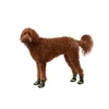 5325454 Arcadia Trail™ Year-Round All-Terrain Dog Boots