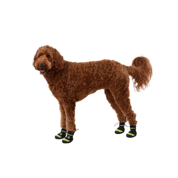 5325454 Arcadia Trail™ Year-Round All-Terrain Dog Boots